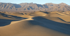 Mesquite Dunes - Black Rhino Expeditions 4x4 Off-Road Tours